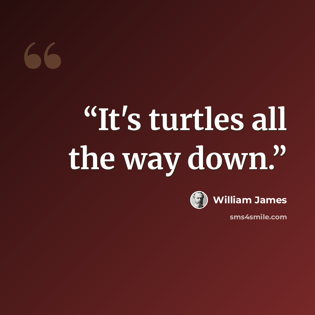 “It's turtles all the way down.” quote by William James