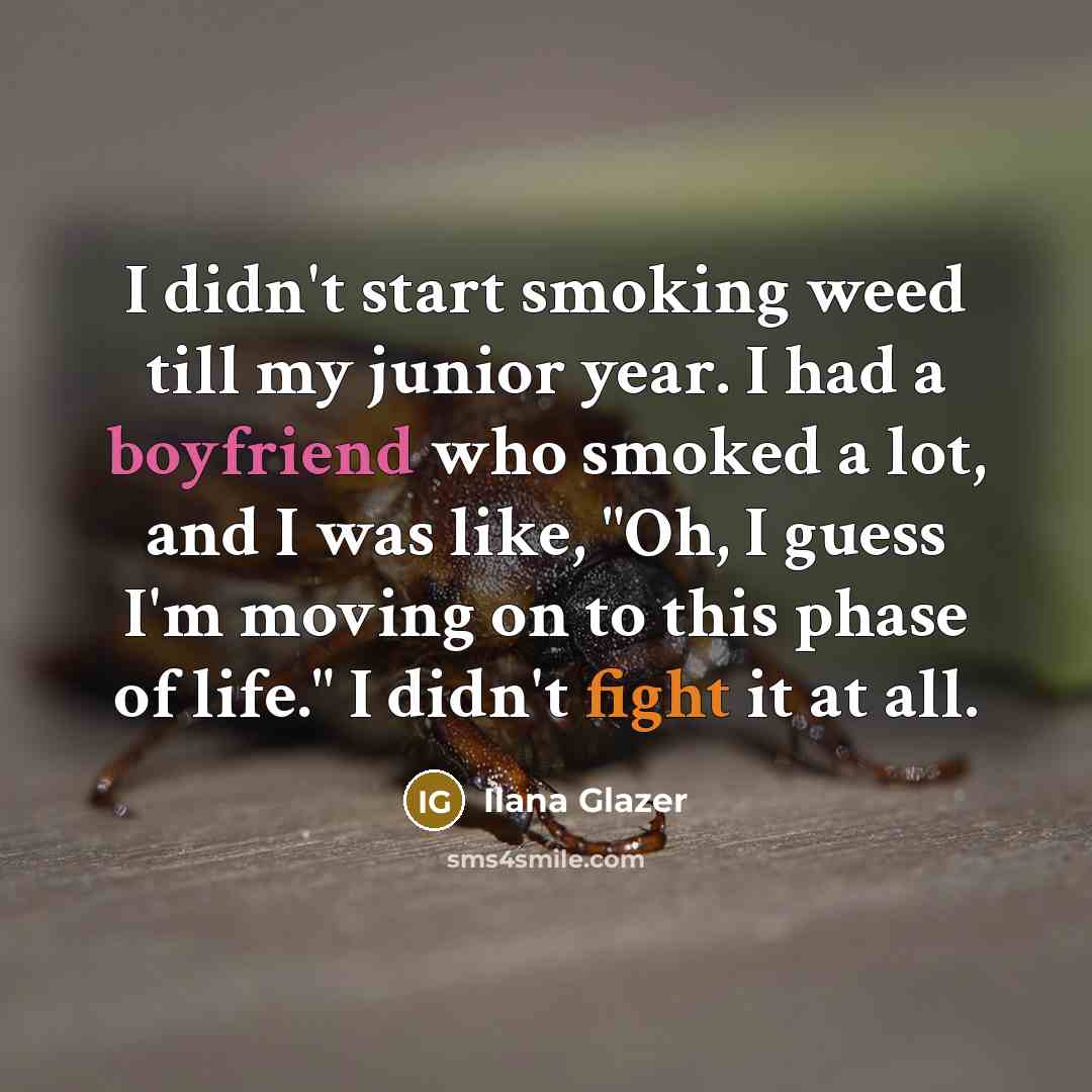 “I didn't start smoking weed till my junior year. I had a boyfriend who smoked a lot, and I was like, "Oh, I guess I'm moving on to this phase of life." I didn't fight it at all.” quote by Ilana Glazer