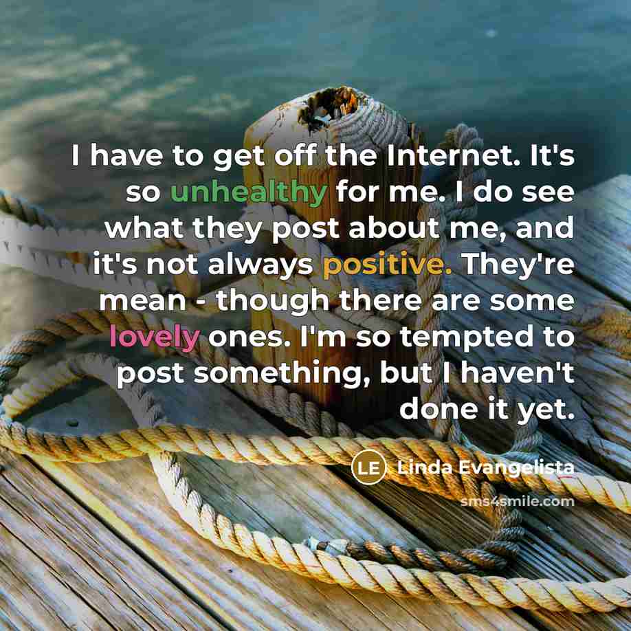 “I have to get off the Internet. It's so unhealthy for me. I do see what they post about me, and it's not always positive. They're mean - though there are some lovely ones. I'm so tempted to post something, but I haven't done it yet.” quote by Linda Evangelista