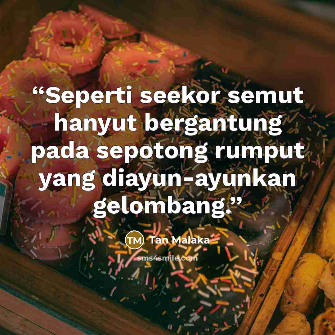 “Seperti seekor semut hanyut bergantung pada sepotong rumput yang diayun-ayunkan gelombang.” quote by Tan Malaka