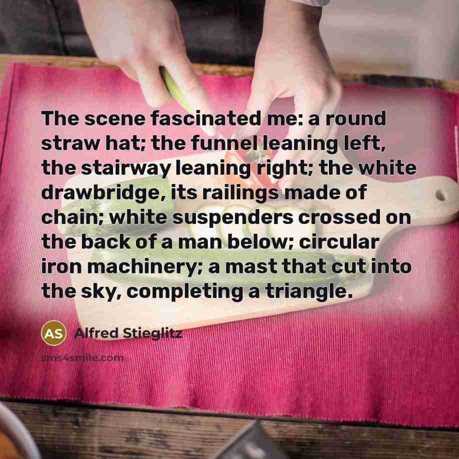 “The scene fascinated me: a round straw hat; the funnel leaning left, the stairway leaning right; the white drawbridge, its railings made of chain; white suspenders crossed on the back of a man below; circular iron machinery; a mast that cut into the sky, completing a triangle.” quote by Alfred Stieglitz