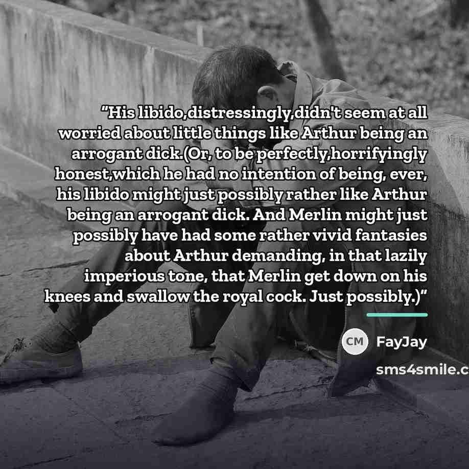 “His libido,distressingly,didn't seem at all worried about little things like Arthur being an arrogant dick.(Or, to be perfectly,horrifyingly honest,which he had no intention of being, ever, his libido might just possibly rather like Arthur being an arrogant dick. And Merlin might just possibly…” quote by FayJay