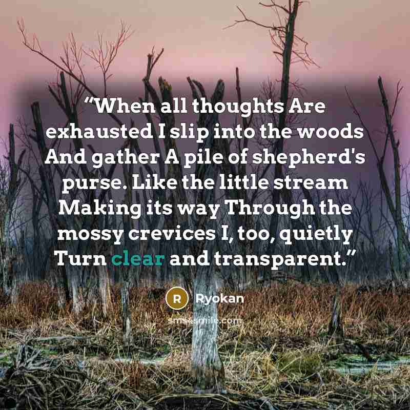 “When all thoughts Are exhausted I slip into the woods And gather A pile of shepherd's purse. Like the little stream Making its way Through the mossy crevices I, too, quietly Turn clear and transparent.” quote by Ryokan