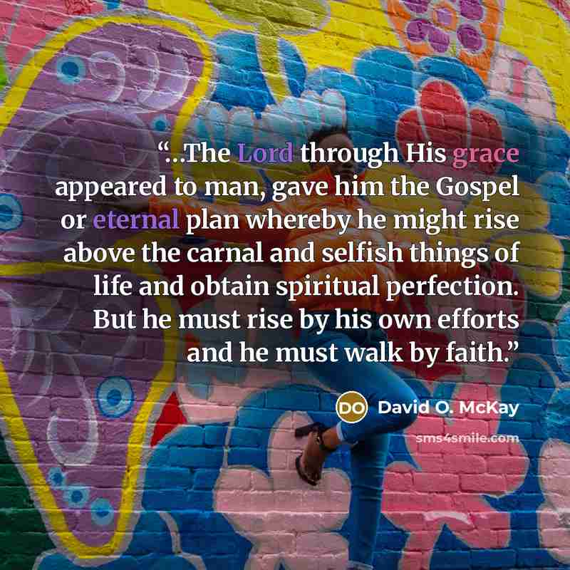 “…The Lord through His grace appeared to man, gave him the Gospel or eternal plan whereby he might rise above the carnal and selfish things of life and obtain spiritual perfection. But he must rise by his own efforts and he must walk by faith.” quote by David O. McKay