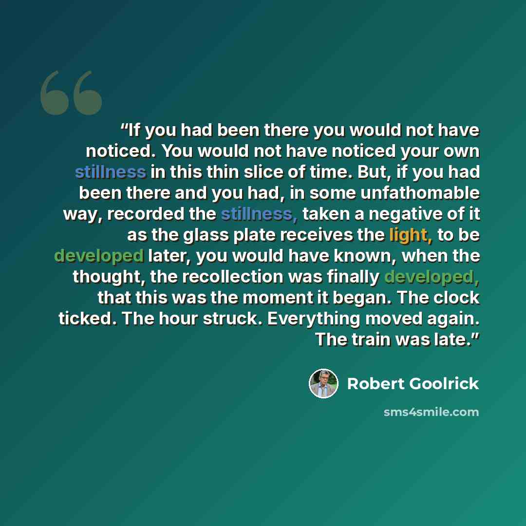 “If you had been there you would not have noticed. You would not have noticed your own stillness in this thin slice of time. But, if you had been there and you had, in some unfathomable way, recorded the stillness, taken a negative of it as the glass plate receives the light, to be developed later…” quote by Robert Goolrick