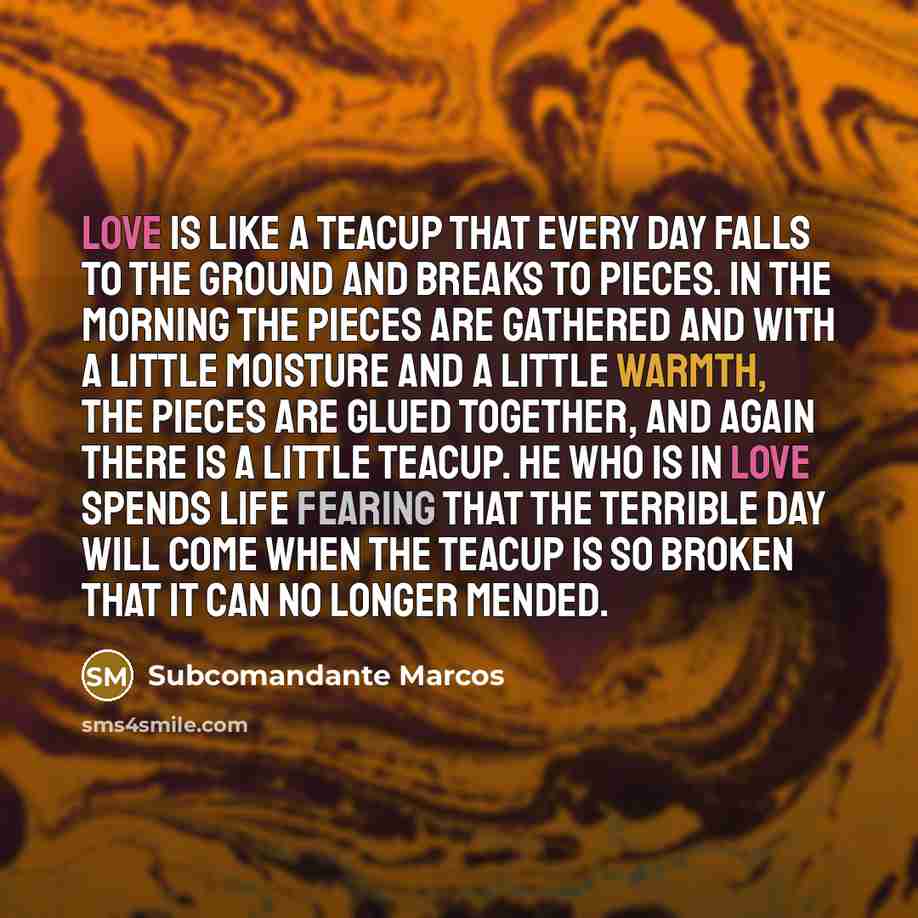 “Love is like a teacup that every day falls to the ground and breaks to pieces. In the morning the pieces are gathered and with a little moisture and a little warmth, the pieces are glued together, and again there is a little teacup. He who is in love spends life fearing that the terrible day will…” quote by Subcomandante Marcos