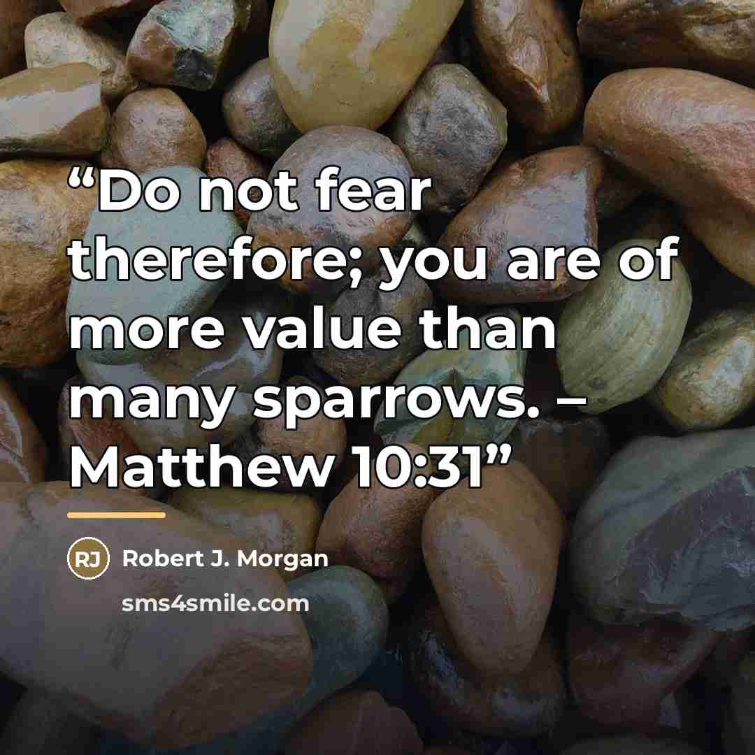 “Do not fear therefore; you are of more value than many sparrows. – Matthew 10:31” quote by Robert J. Morgan