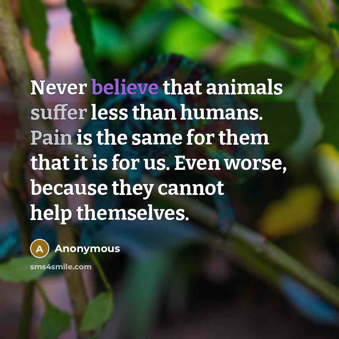 “Never believe that animals suffer less than humans. Pain is the same for them that it is for us. Even worse, because they cannot help themselves.” quote by Anonymous