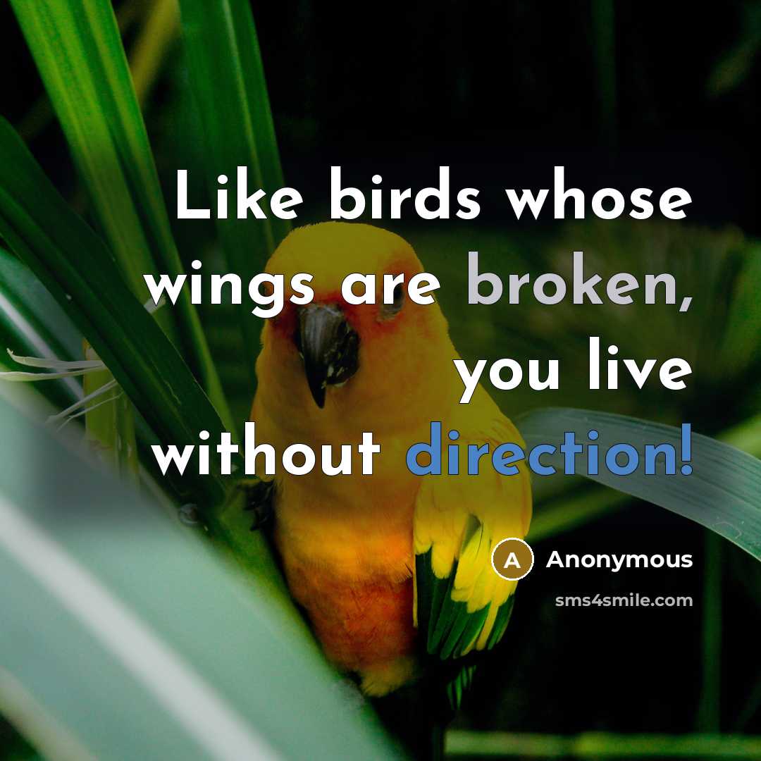 “Like birds whose wings are broken, you live without direction!” quote by Anonymous