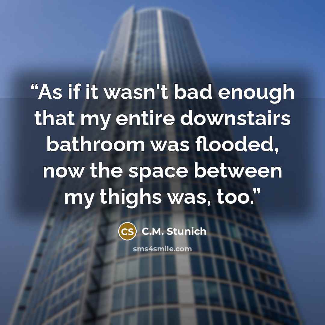 “As if it wasn't bad enough that my entire downstairs bathroom was flooded, now the space between my thighs was, too.” quote by C.M. Stunich