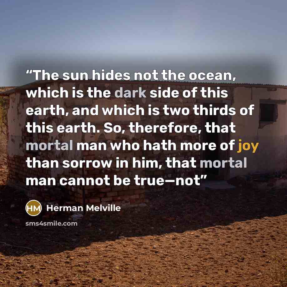 “The sun hides not the ocean, which is the dark side of this earth, and which is two thirds of this earth. So, therefore, that mortal man who hath more of joy than sorrow in him, that mortal man cannot be true—not” quote by Herman Melville