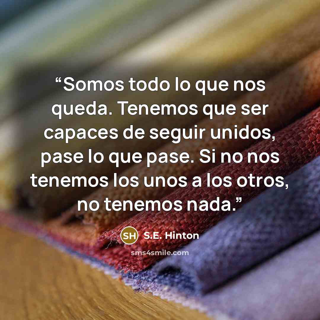 “Somos todo lo que nos queda. Tenemos que ser capaces de seguir unidos, pase lo que pase. Si no nos tenemos los unos a los otros, no tenemos nada.” quote by S.E. Hinton