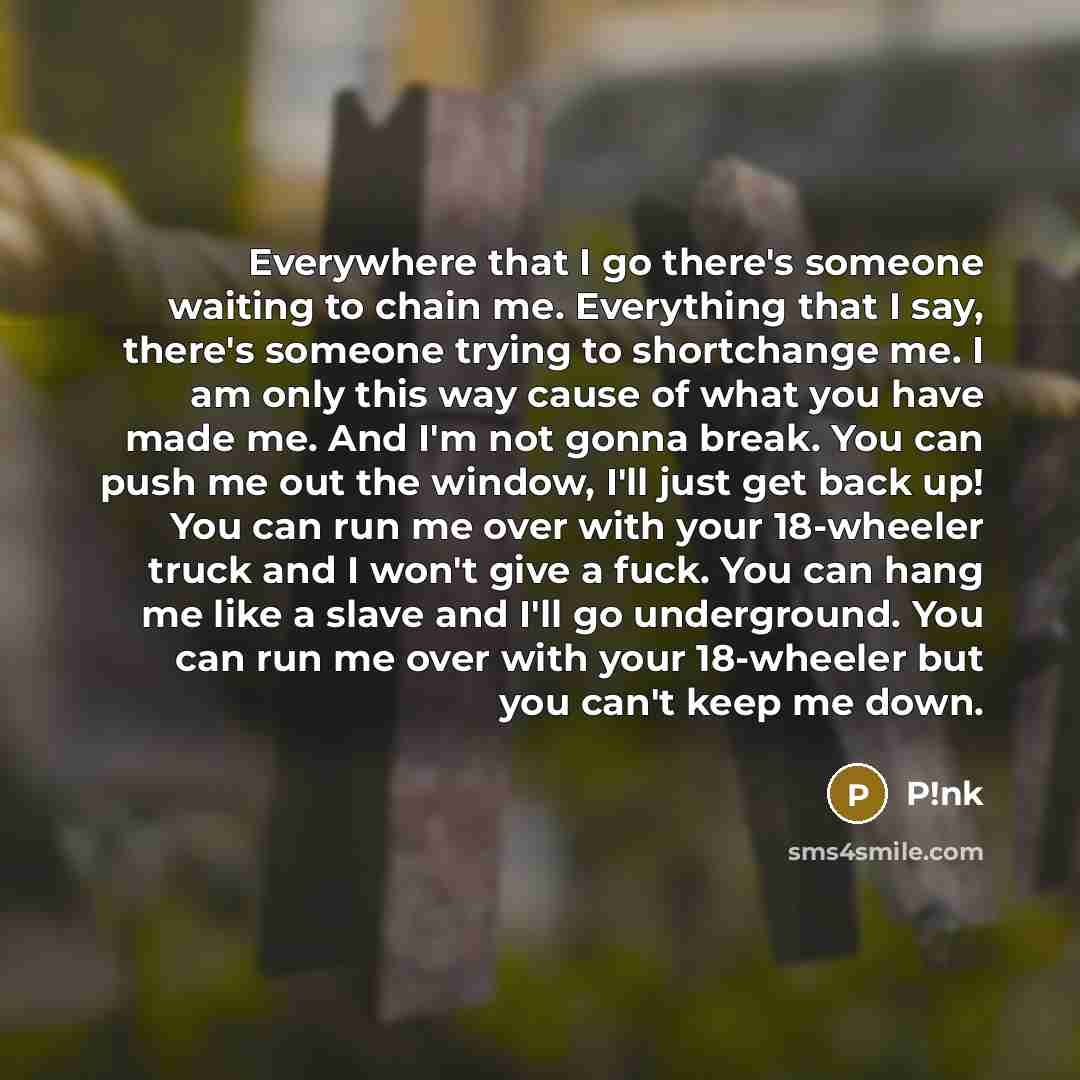 “Everywhere that I go there's someone waiting to chain me. Everything that I say, there's someone trying to shortchange me. I am only this way cause of what you have made me. And I'm not gonna break. You can push me out the window, I'll just get back up! You can run me over with your 18-wheeler…” quote by P!nk