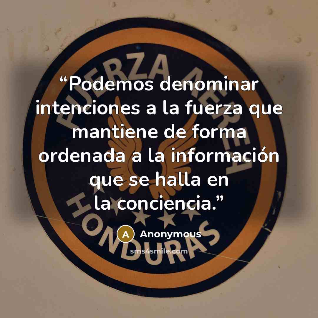 “Podemos denominar intenciones a la fuerza que mantiene de forma ordenada a la información que se halla en la conciencia.” quote by Anonymous