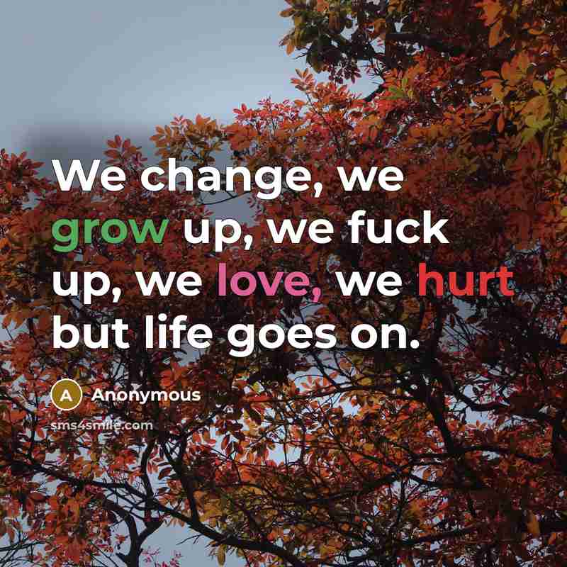 “We change, we grow up, we fuck up, we love, we hurt but life goes on.” quote by Anonymous