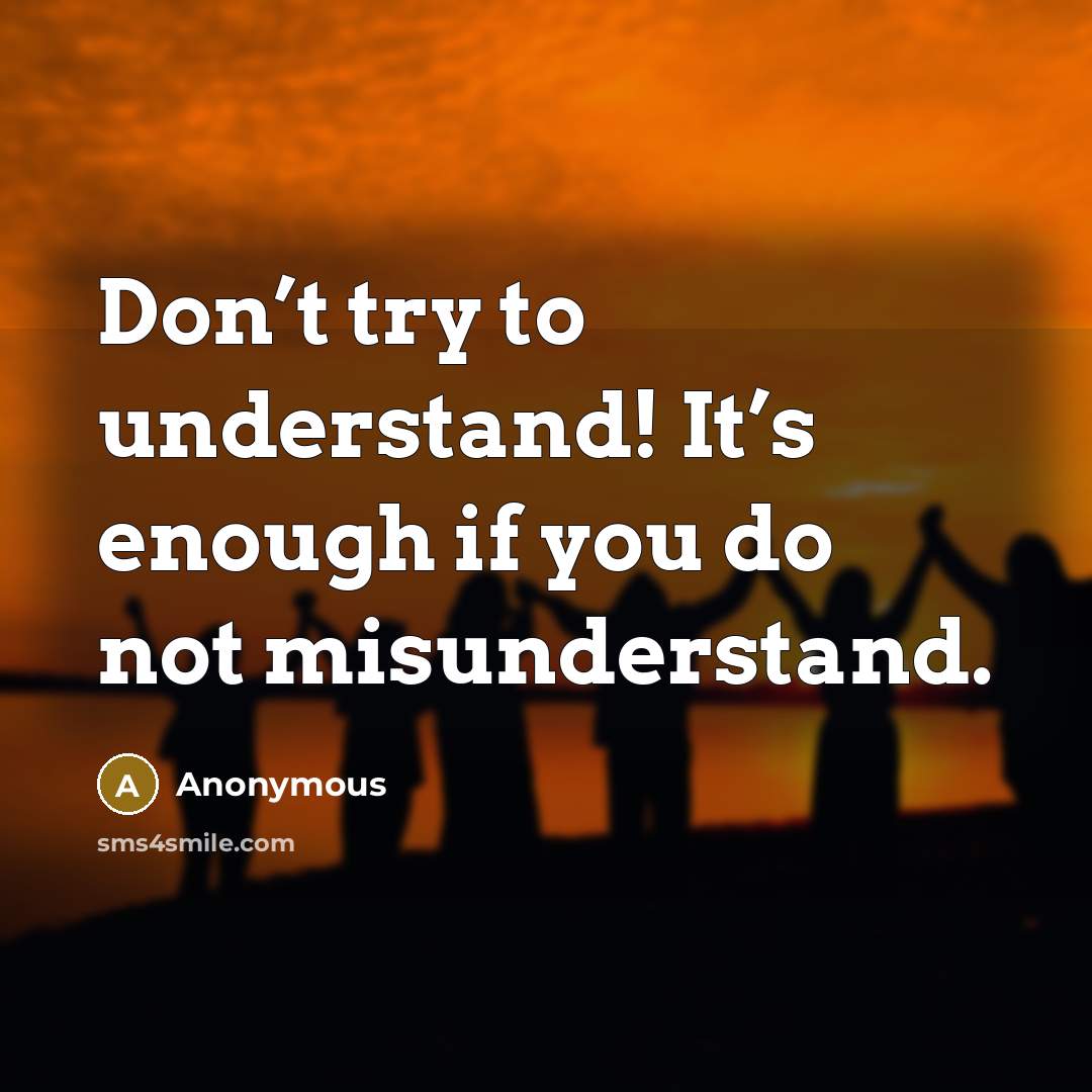 “Don’t try to understand! It’s enough if you do not misunderstand.” quote by Anonymous