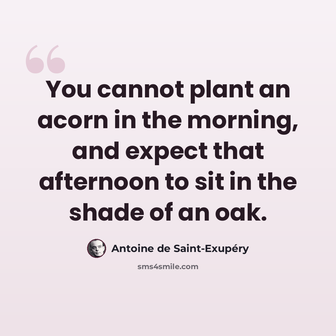 “You cannot plant an acorn in the morning, and expect that afternoon to sit in the shade of an oak.” quote by Antoine de Saint-Exupery