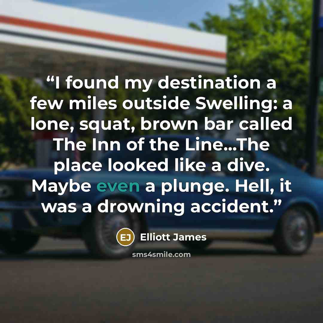 “I found my destination a few miles outside Swelling: a lone, squat, brown bar called The Inn of the Line...The place looked like a dive. Maybe even a plunge. Hell, it was a drowning accident.” quote by Elliott James