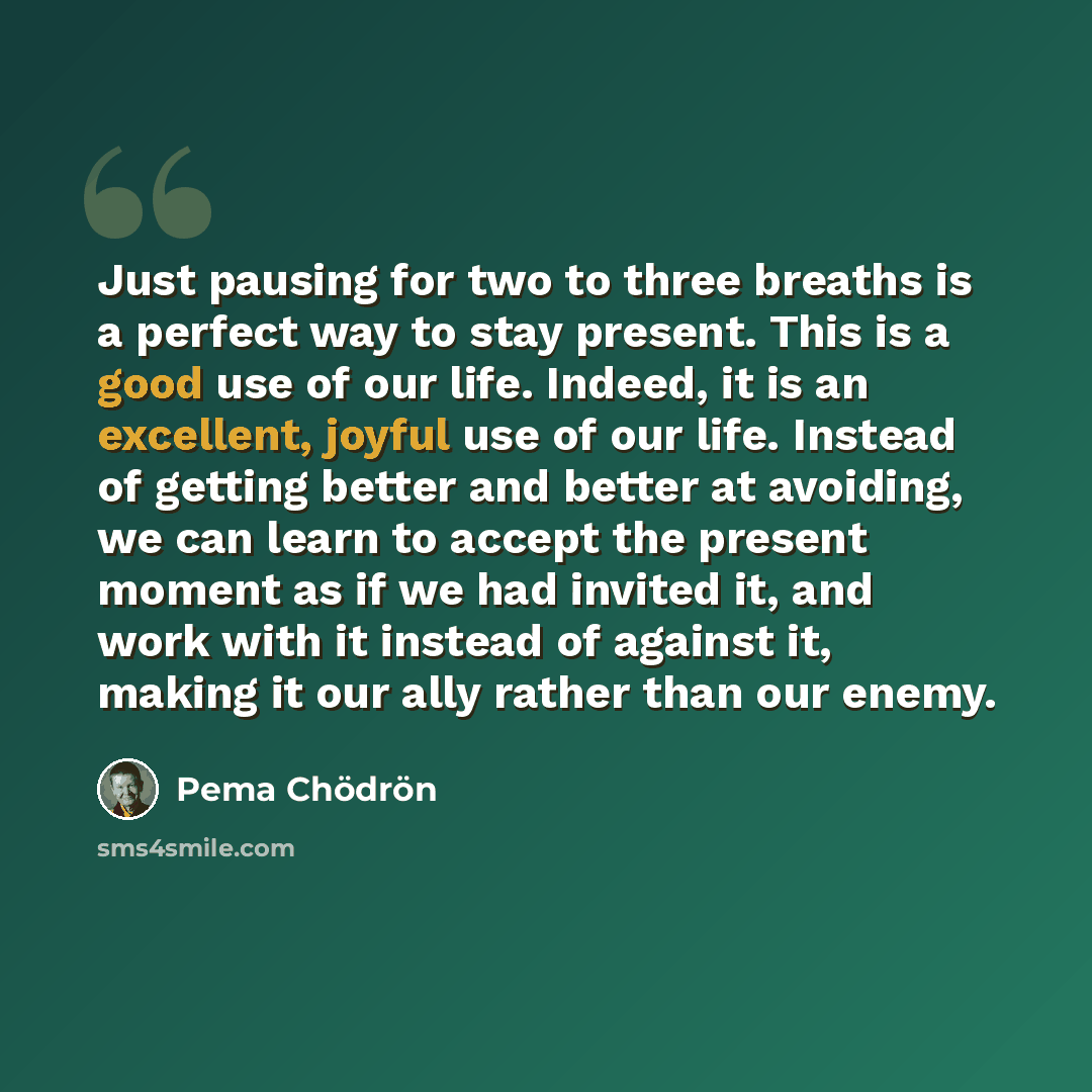“Just pausing for two to three breaths is a perfect way to stay present. This is a good use of our life. Indeed, it is an excellent, joyful use of our life. Instead of getting better and better at avoiding, we can learn to accept the present moment as if we had invited it, and work with it instead…” quote by Pema Chodron