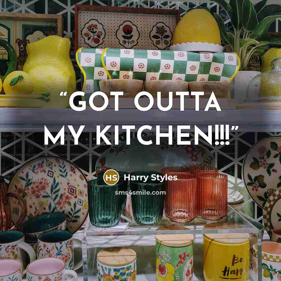 “GOT OUTTA MY KITCHEN!!!” quote by Harry Styles