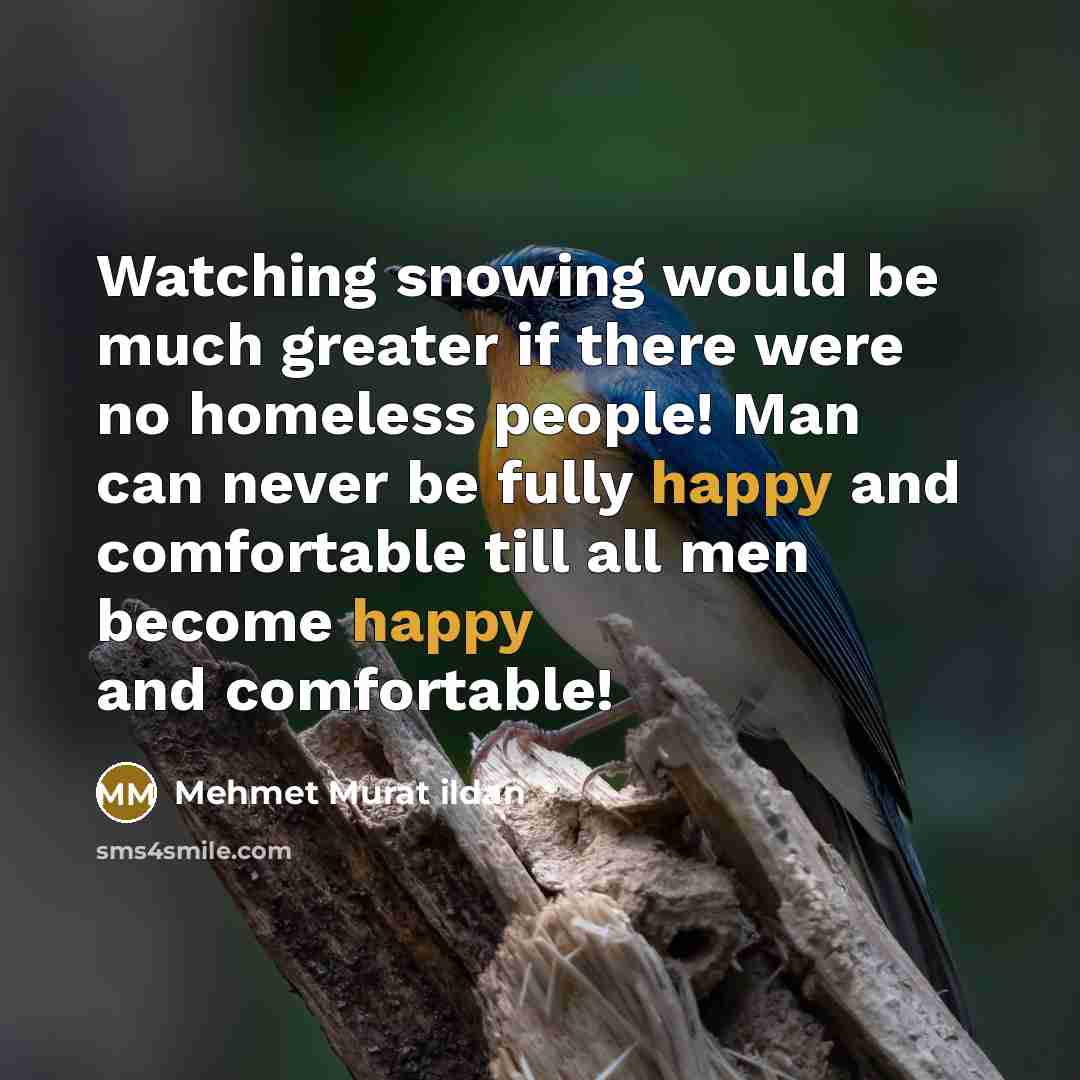 “Watching snowing would be much greater if there were no homeless people! Man can never be fully happy and comfortable till all men become happy and comfortable!” quote by Mehmet Murat Ildan
