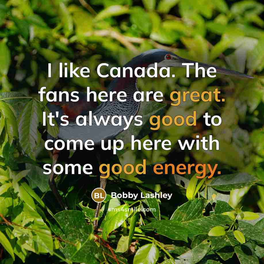 “I like Canada. The fans here are great. It's always good to come up here with some good energy.” quote by Bobby Lashley