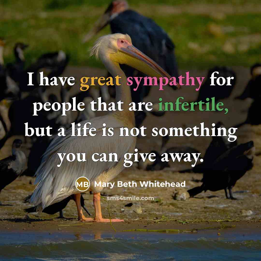 “I have great sympathy for people that are infertile, but a life is not something you can give away.” quote by Mary Beth Whitehead