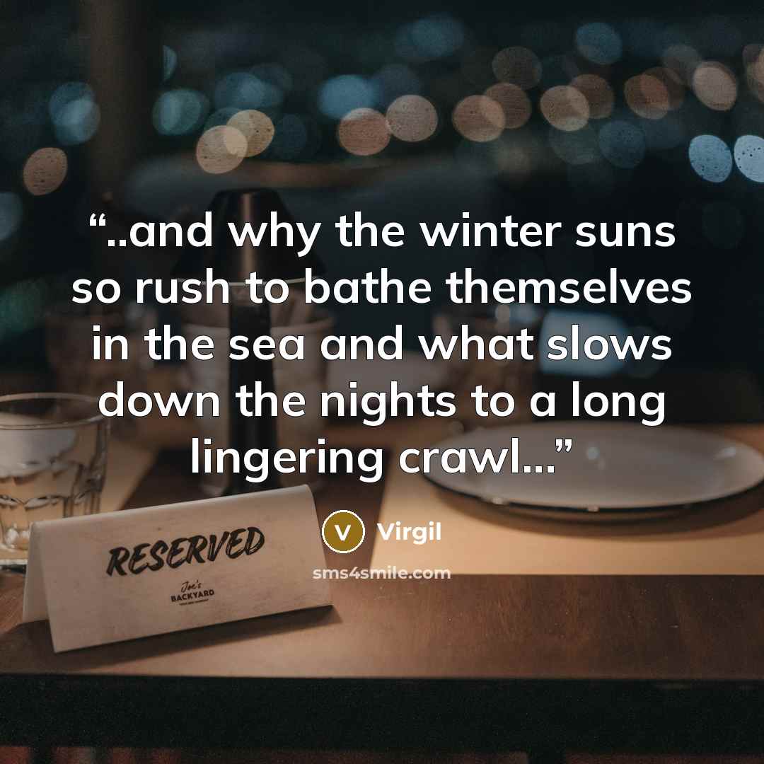 “..and why the winter suns so rush to bathe themselves in the sea and what slows down the nights to a long lingering crawl...” quote by Virgil