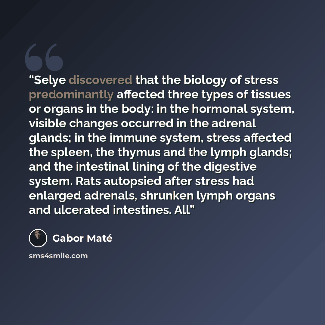 “Selye discovered that the biology of stress predominantly affected three types of tissues or organs in the body: in the hormonal system, visible changes occurred in the adrenal glands; in the immune system, stress affected the spleen, the thymus and the lymph glands; and the intestinal lining of…” quote by Gabor Maté