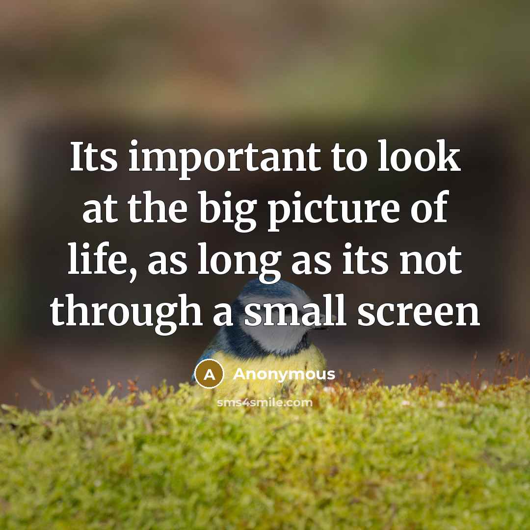 “Its important to look at the big picture of life, as long as its not through a small screen” quote by Anonymous