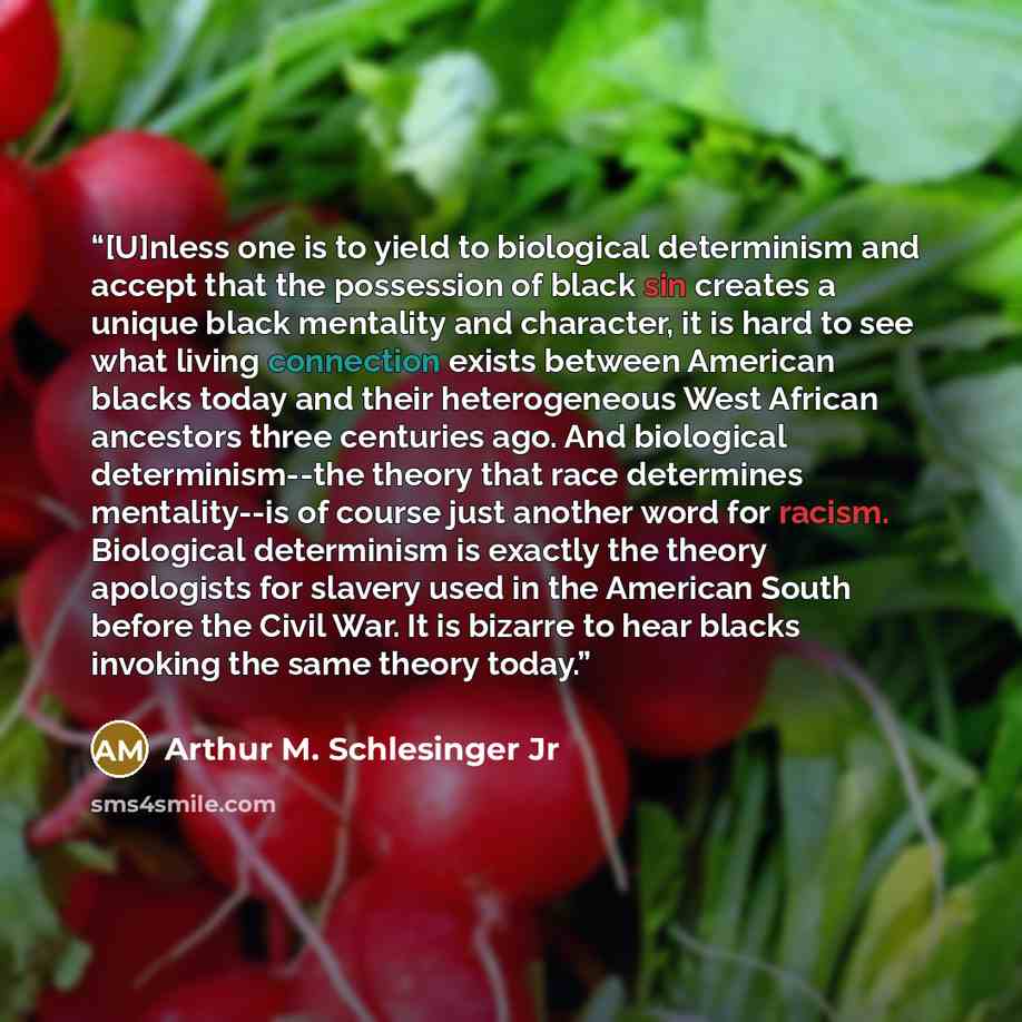 “[U]nless one is to yield to biological determinism and accept that the possession of black sin creates a unique black mentality and character, it is hard to see what living connection exists between American blacks today and their heterogeneous West African ancestors three centuries ago. And…” quote by Arthur M. Schlesinger Jr