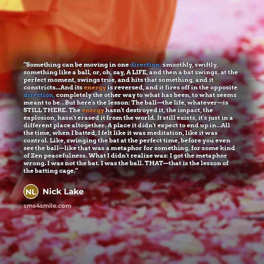 “Something can be moving in one direction, smoothly, swiftly, something like a ball, or, oh, say, A LIFE, and then a bat swings, at the perfect moment, swings true, and hits that something, and it constricts...And its energy is reversed, and it fires off in the opposite direction, completely the…” quote by Nick Lake