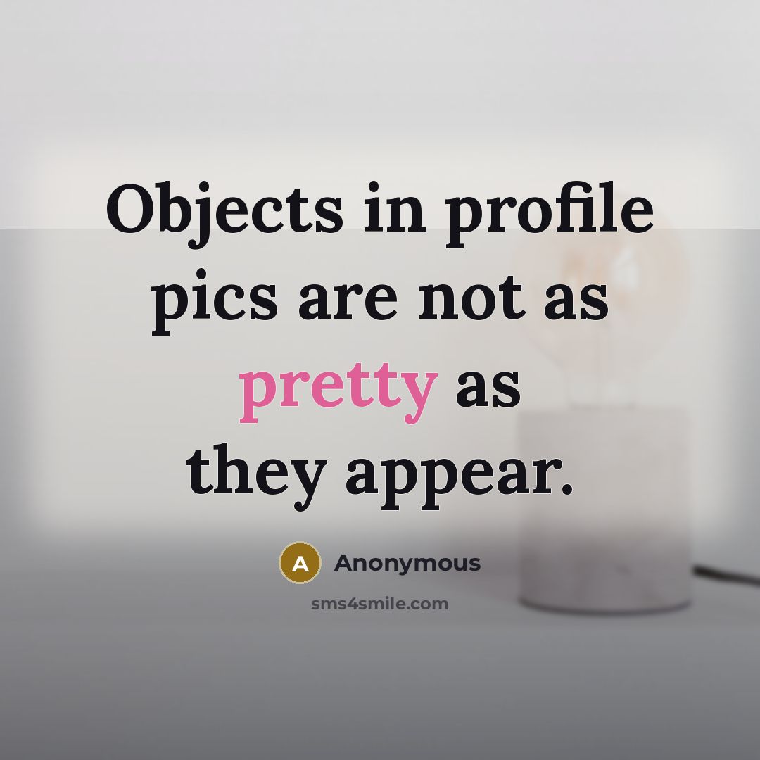 “Objects in profile pics are not as pretty as they appear.” quote by Anonymous