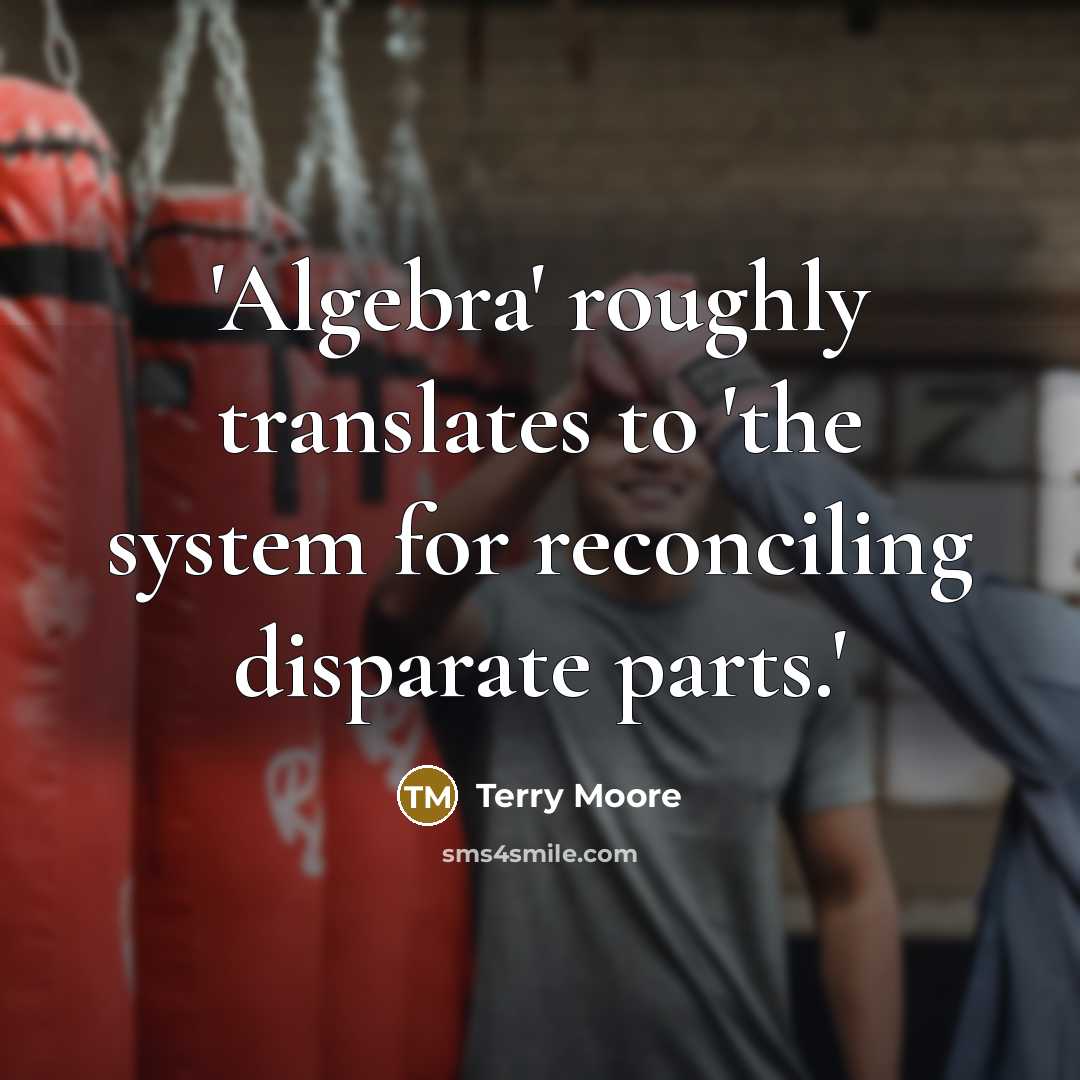 “'Algebra' roughly translates to 'the system for reconciling disparate parts.'” quote by Terry Moore