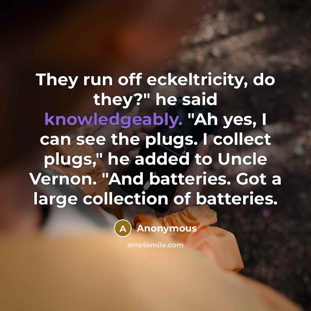 “They run off eckeltricity, do they?" he said knowledgeably. "Ah yes, I can see the plugs. I collect plugs," he added to Uncle Vernon. "And batteries. Got a large collection of batteries.” quote by Anonymous