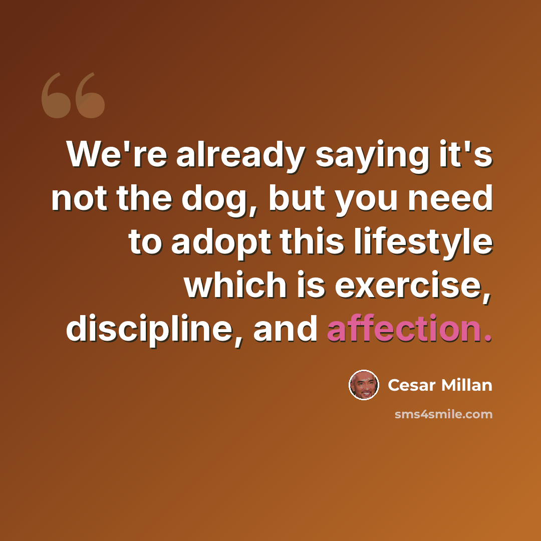 “We're already saying it's not the dog, but you need to adopt this lifestyle which is exercise, discipline, and affection.” quote by Cesar Millan