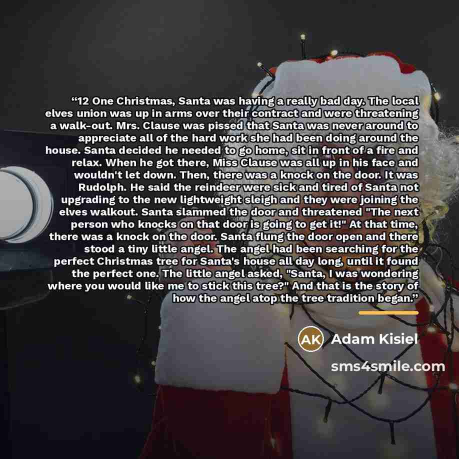 “12 One Christmas, Santa was having a really bad day. The local elves union was up in arms over their contract and were threatening a walk-out. Mrs. Clause was pissed that Santa was never around to appreciate all of the hard work she had been doing around the house. Santa decided he needed to go…” quote by Adam Kisiel