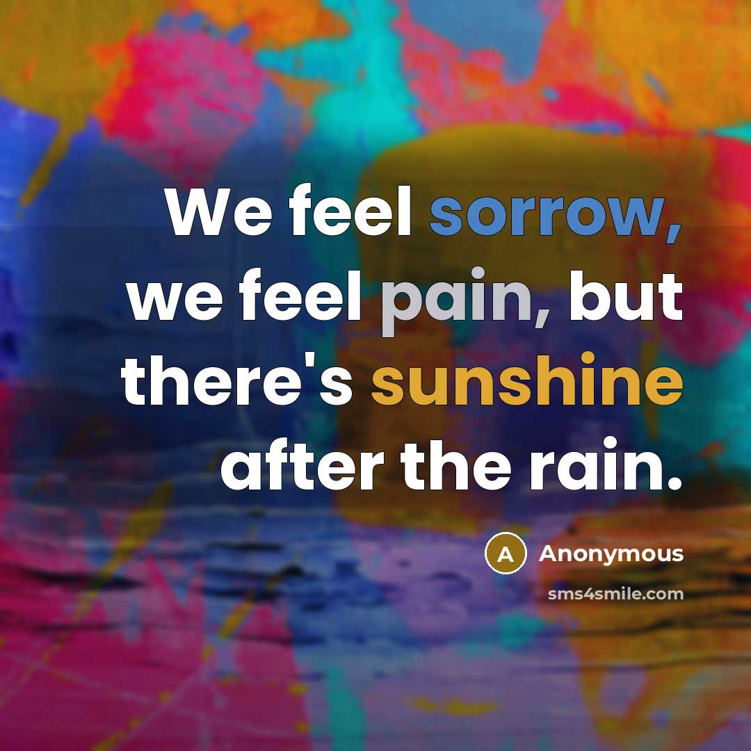 “We feel sorrow, we feel pain, but there's sunshine after the rain.” quote by Anonymous