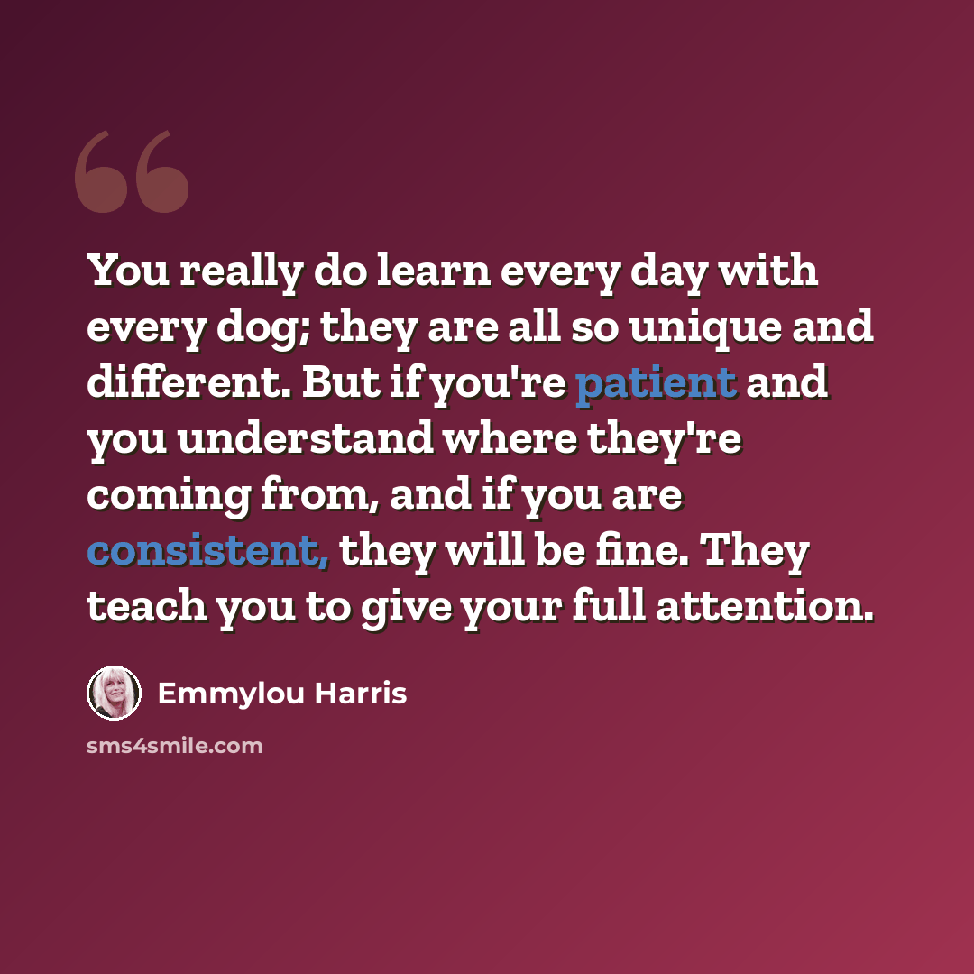 “You really do learn every day with every dog; they are all so unique and different. But if you're patient and you understand where they're coming from, and if you are consistent, they will be fine. They teach you to give your full attention.” quote by Emmylou Harris