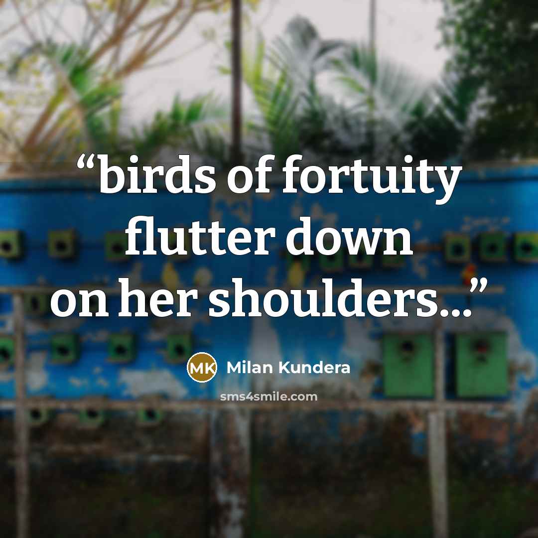 “birds of fortuity flutter down on her shoulders...” quote by Milan Kundera