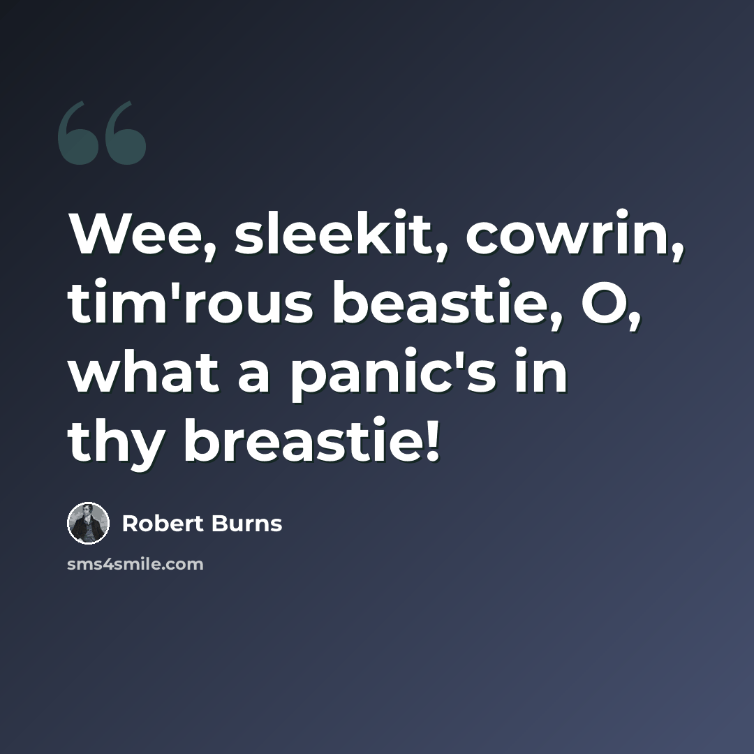 “Wee, sleekit, cowrin, tim'rous beastie, O, what a panic's in thy breastie!” quote by Robert Burns