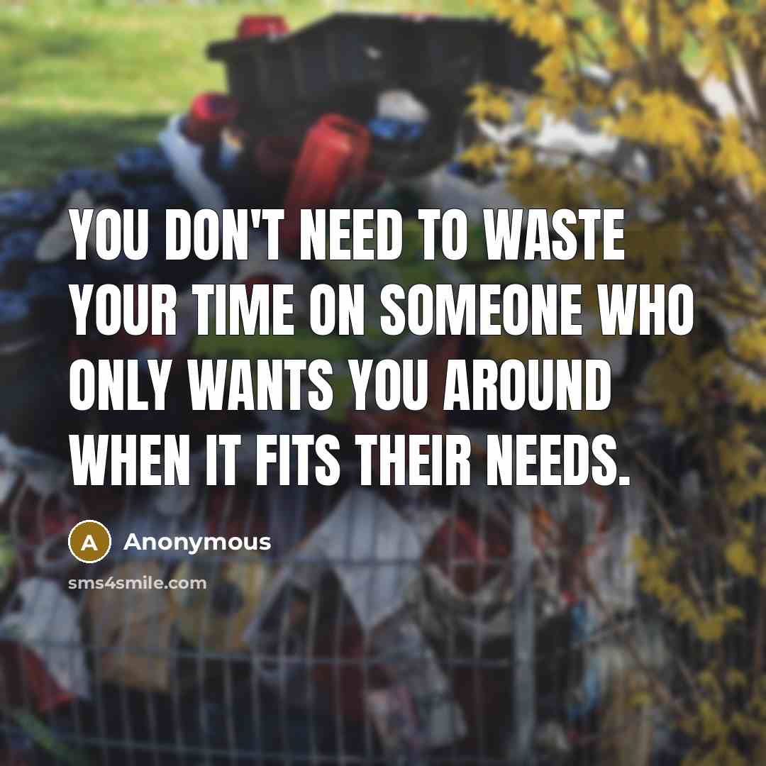 “You don't need to waste your time on someone who only wants you around when it fits their needs.” quote by Anonymous
