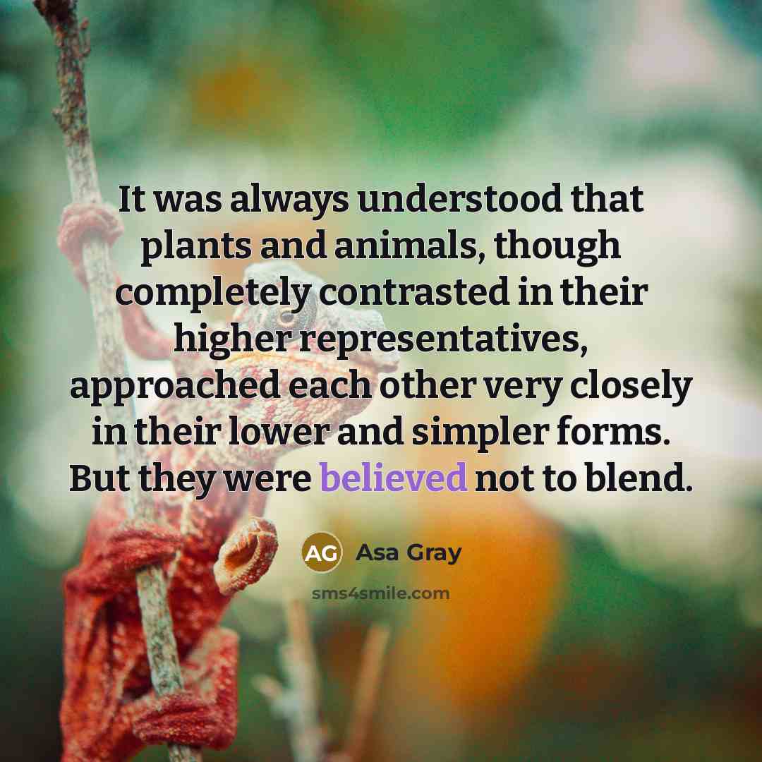 “It was always understood that plants and animals, though completely contrasted in their higher representatives, approached each other very closely in their lower and simpler forms. But they were believed not to blend.” quote by Asa Gray