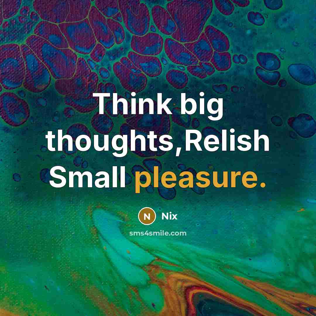 “Think big thoughts,Relish Small pleasure.” quote by Nix