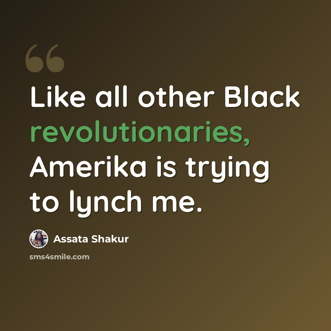 “Like all other Black revolutionaries, Amerika is trying to lynch me.” quote by Assata Shakur