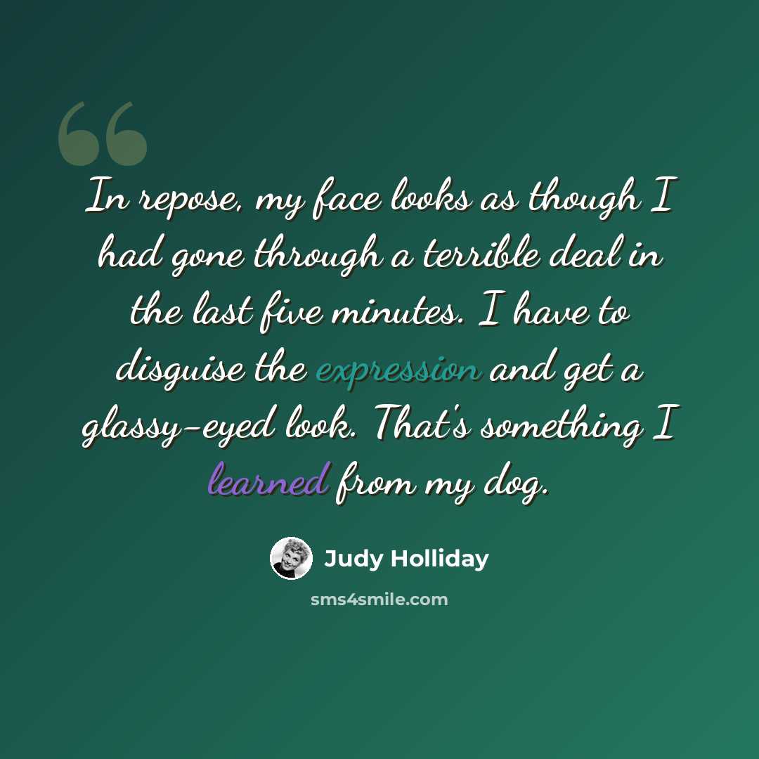 “In repose, my face looks as though I had gone through a terrible deal in the last five minutes. I have to disguise the expression and get a glassy-eyed look. That's something I learned from my dog.” quote by Judy Holliday