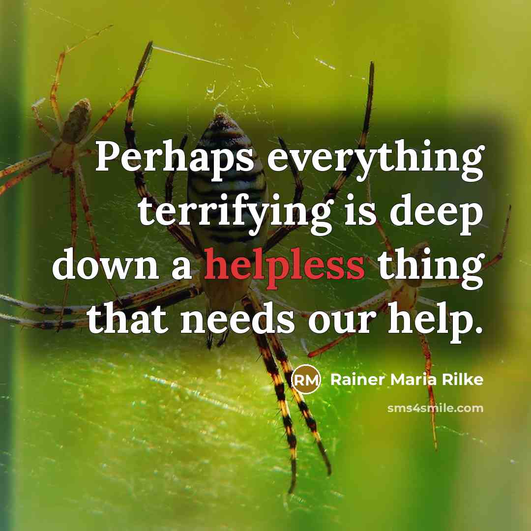 “Perhaps everything terrifying is deep down a helpless thing that needs our help.” quote by Rainer Maria Rilke