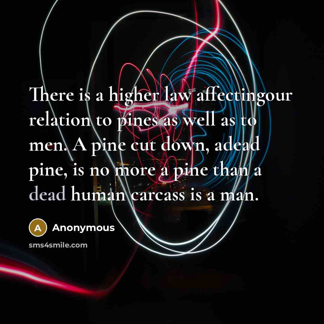 “There is a higher law affectingour relation to pines as well as to men. A pine cut down, adead pine, is no more a pine than a dead human carcass is a man.” quote by Anonymous