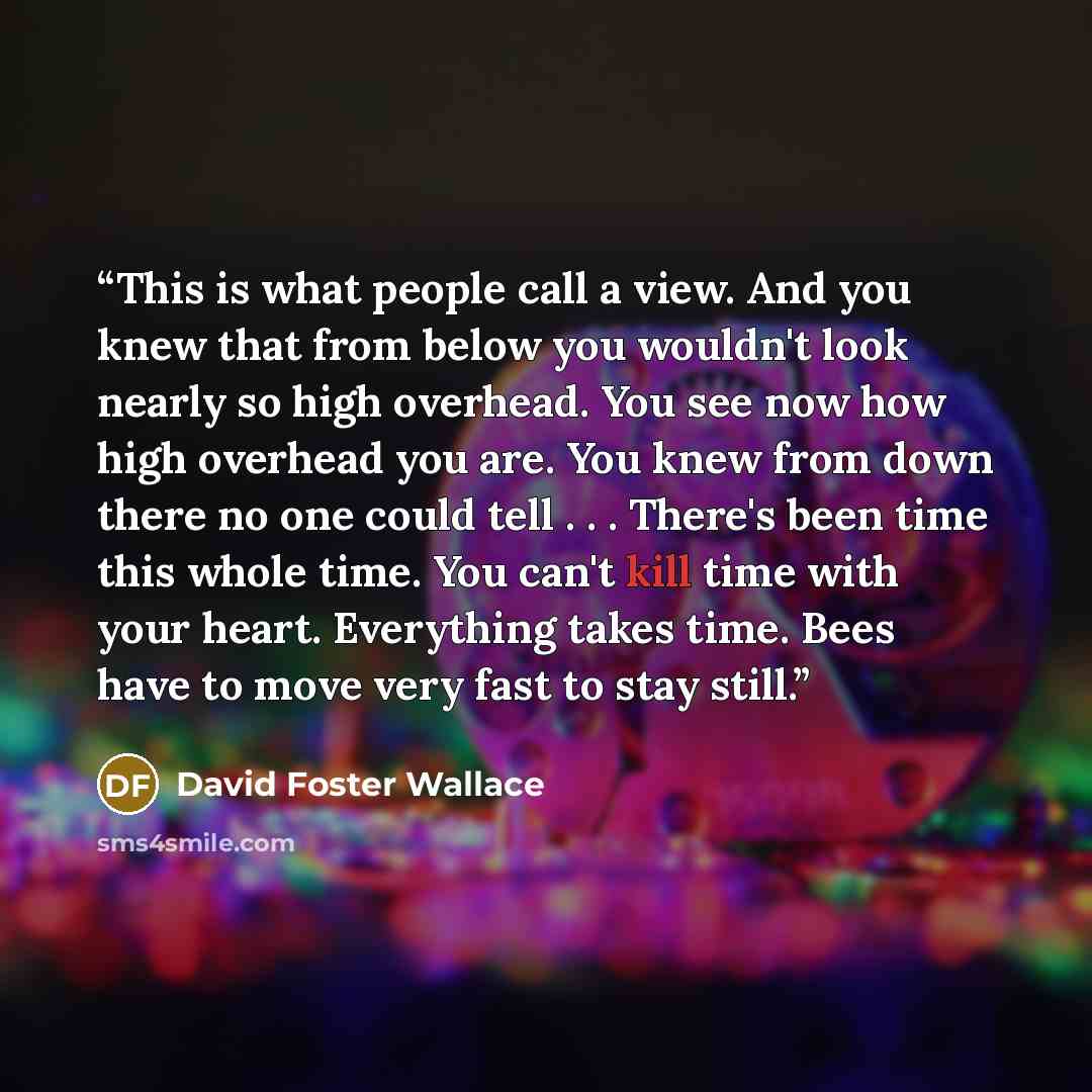 “This is what people call a view. And you knew that from below you wouldn't look nearly so high overhead. You see now how high overhead you are. You knew from down there no one could tell . . . There's been time this whole time. You can't kill time with your heart. Everything takes time. Bees have…” quote by David Foster Wallace
