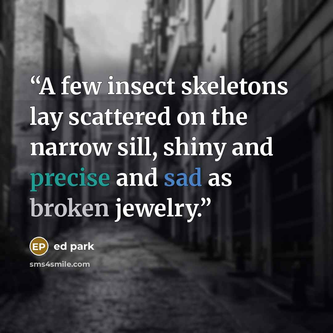 “A few insect skeletons lay scattered on the narrow sill, shiny and precise and sad as broken jewelry.” quote by Ed Park